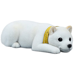 AmiAmi [Character & Hobby Shop]