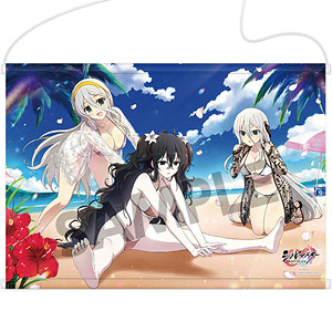 AmiAmi [Character & Hobby Shop] | Shinobi Master Senran Kagura 