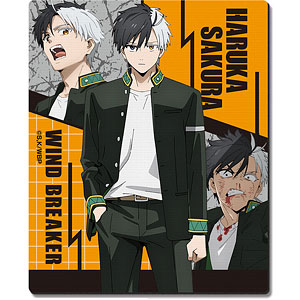 その他 WIND BREAKER Amazon.com: Wind Breaker, Vol. 11: 9786525915845: Satoru Nii