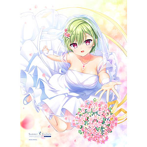 AmiAmi [Character & Hobby Shop] | Summer Pockets REFLECTION