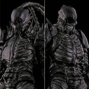 AmiAmi [Character & Hobby Shop] | 