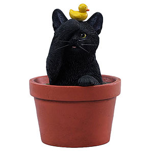 AmiAmi [Character & Hobby Shop] | Flowerpot Cat C(Released)