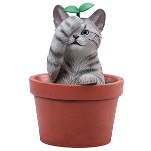 AmiAmi [Character & Hobby Shop] | Flowerpot Cat C(Released)