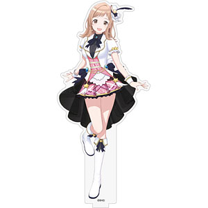 AmiAmi [Character & Hobby Shop] | THE IDOLM@STER SHINY COLORS BIG 