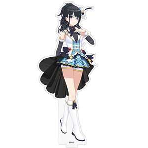 AmiAmi [Character & Hobby Shop] | THE IDOLM@STER SHINY COLORS BIG 