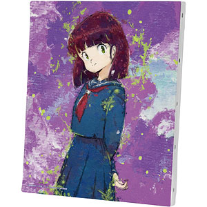 AmiAmi [Character & Hobby Shop] | TV Anime 