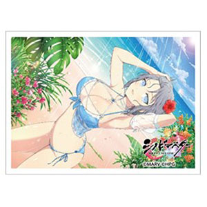 AmiAmi [Character & Hobby Shop] | Shinobi Master Senran Kagura