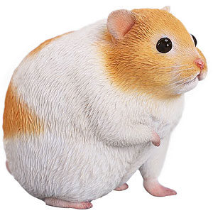 AmiAmi [Character & Hobby Shop] | 1/1 Hamster A(Released)