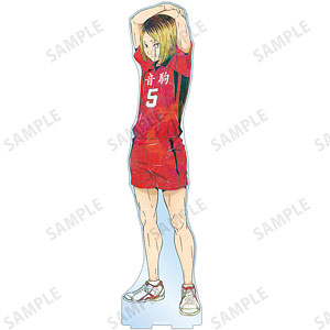 AmiAmi [Character & Hobby Shop]