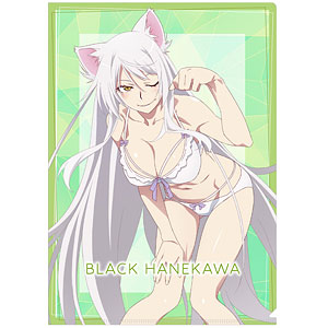 AmiAmi [Character & Hobby Shop]