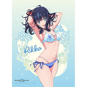 AmiAmi [Character & Hobby Shop] | GRIDMAN UNIVERSE New