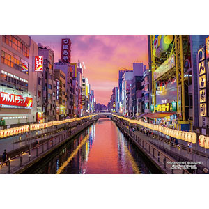 AmiAmi [Character & Hobby Shop]