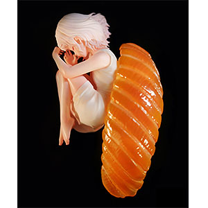 AmiAmi [Character & Hobby Shop] | Sushi Fairies Salmon Complete