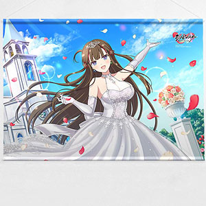 AmiAmi [Character & Hobby Shop] | Shinobi Master Senran