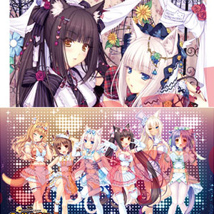 AmiAmi [Character & Hobby Shop] | 