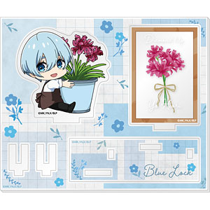 AmiAmi [Character & Hobby Shop]