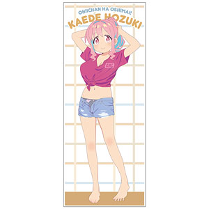AmiAmi [Character & Hobby Shop]