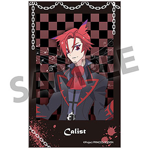 AmiAmi [Character & Hobby Shop] | Princession Orchestra