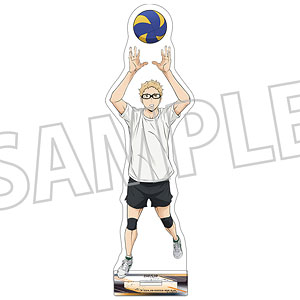ヒビキ　きゅーすと川本　アクリルパネル Amazon.co.jp: ハイキュー 及川徹 アクリルアートスタンド コス