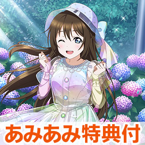 AmiAmi [Character & Hobby Shop]