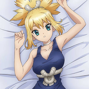 AmiAmi [Character & Hobby Shop] | Dr. STONE Hugging Pillow Cover