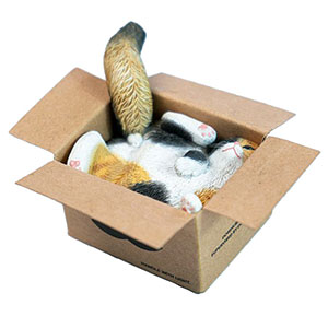 AmiAmi [Character & Hobby Shop]