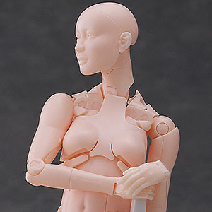 AmiAmi [Character & Hobby Shop] | Nishimura Style Drawing Doll