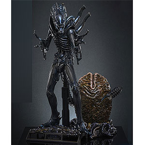 AmiAmi [Character & Hobby Shop] | After-school Arena Third Shot