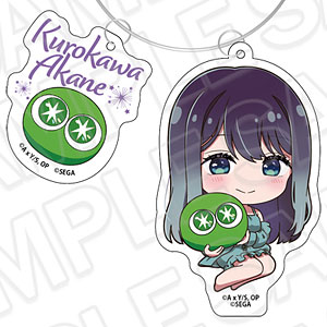 AmiAmi [Character & Hobby Shop]