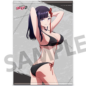 AmiAmi [Character & Hobby Shop] | Cospatio Original - Striped