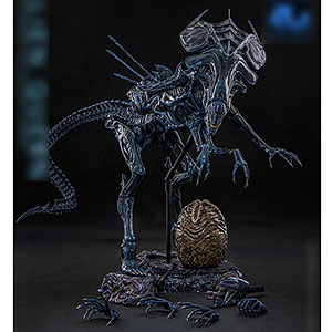 AmiAmi [Character & Hobby Shop] | 