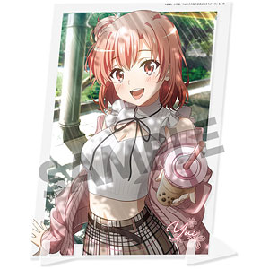 AmiAmi [Character & Hobby Shop] | My Teen Romantic Comedy SNAFU