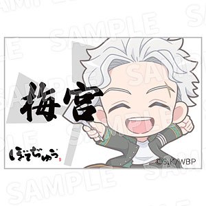 "WIND BREAKER" x Botejyu Group Acrylic Name Badge Umemiy…