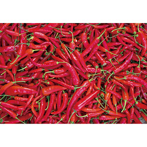 Jigsaw Puzzle Chili Pepper Hell (300-221)
