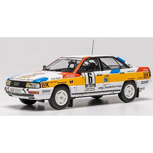 AmiAmi [Character & Hobby Shop] | 1/43 Audi 200 Quattro 1989
